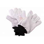 {$itemVyrobek[nazev]}