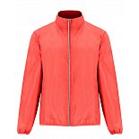 {$itemVyrobek[nazev]}