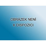 další vyobrazení Rámeček k svářečské kukle, typ IX