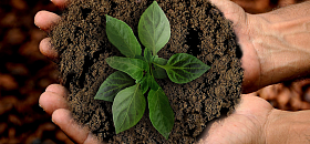 Jak na udržitelnost v oblasti pracovních pomůcek?