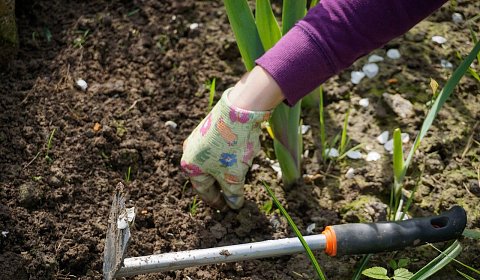 Jarní počasí volá k práci na zahradě - oblečte se vhodně.